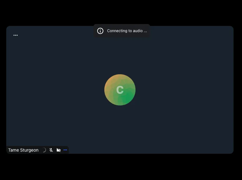 Audio connecting indicator
