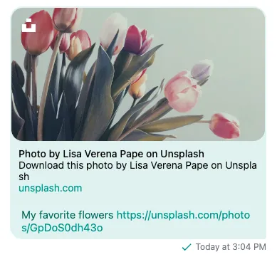 Stream Chat React UI With Custom Message