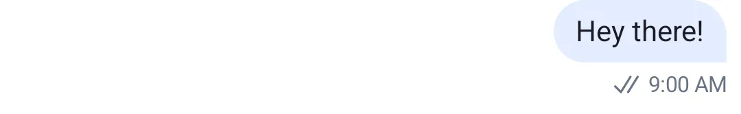 Message Status Delivered