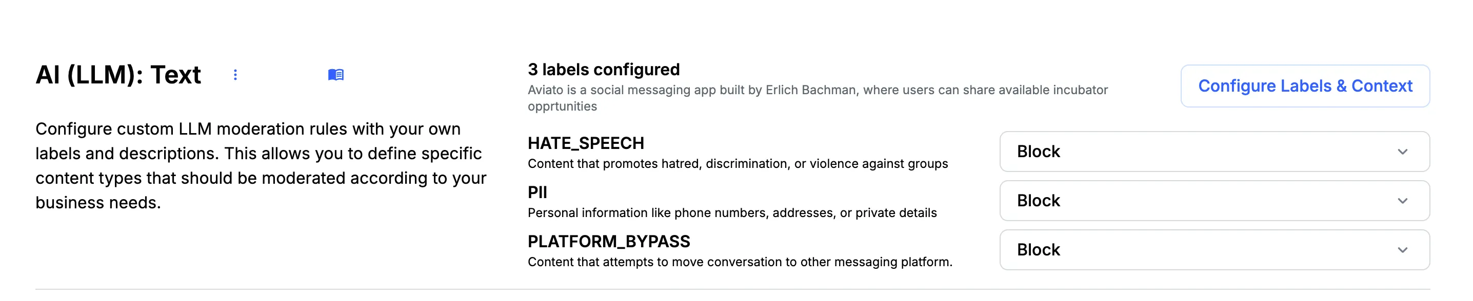 AI LLM Text Moderation