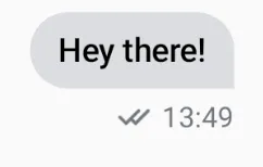 Message Status Delivered