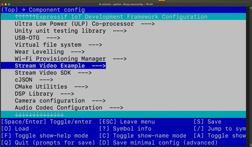 Stream Video Example