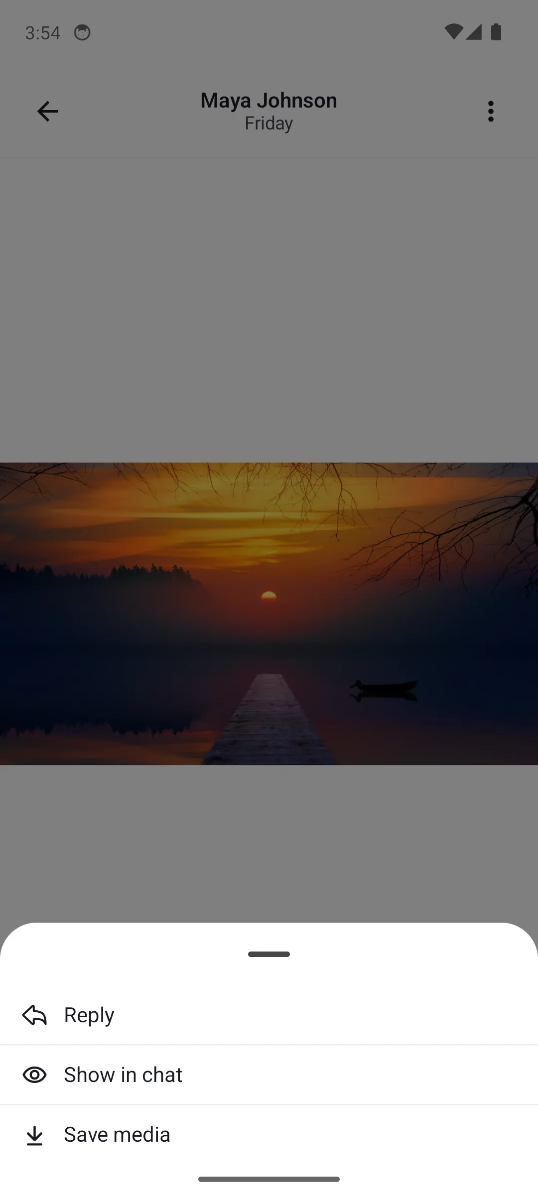 Default Image and Video Attachment Gallery with Options Light Mode