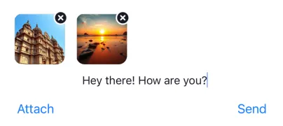 Message Input Customization