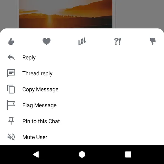 The Default Selected Message Menu