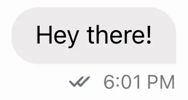 Message Delivery State Delivered