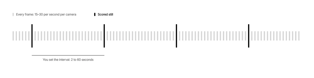 Timeline of camera frames at 15-30 per second, with one scored still taken at each interval you set, from 2 to 60 seconds