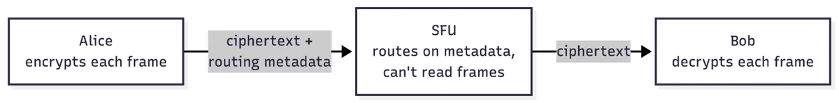 With SFrame, the SFU routes on metadata alone and never sees decrypted media frames