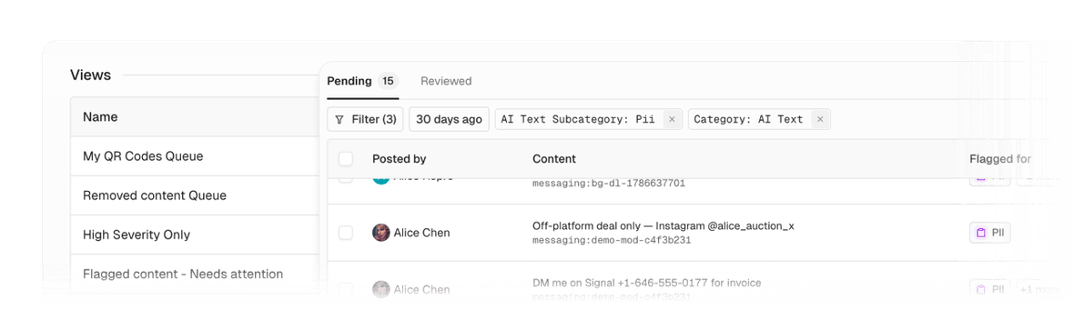 Purpose-built review queues