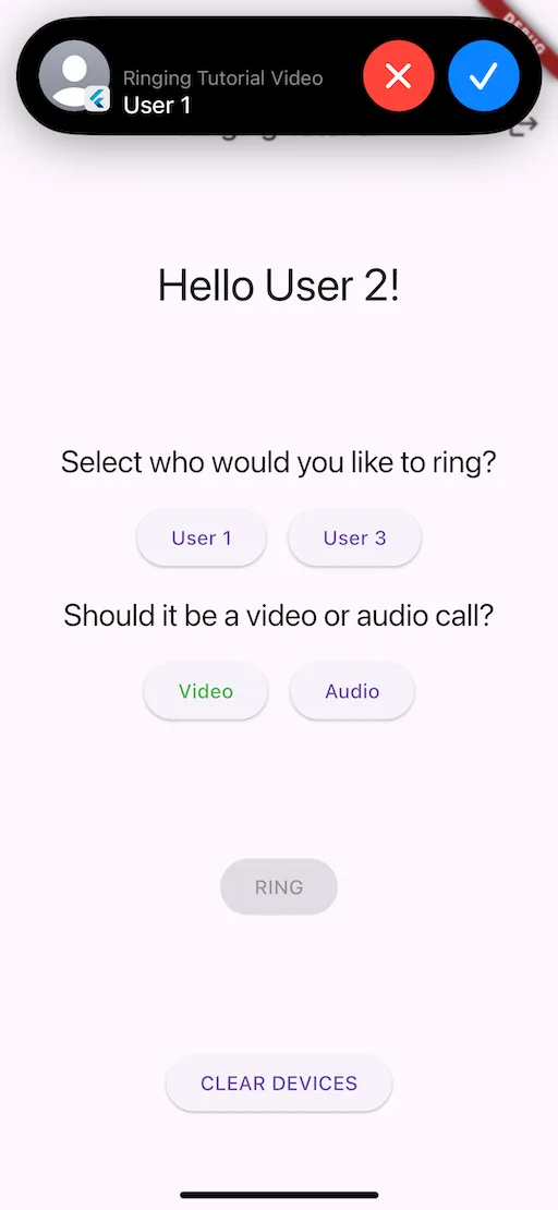 Ringing Sample CallKit Screen