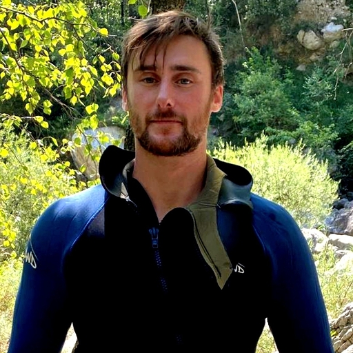 Laurent Schaffner
