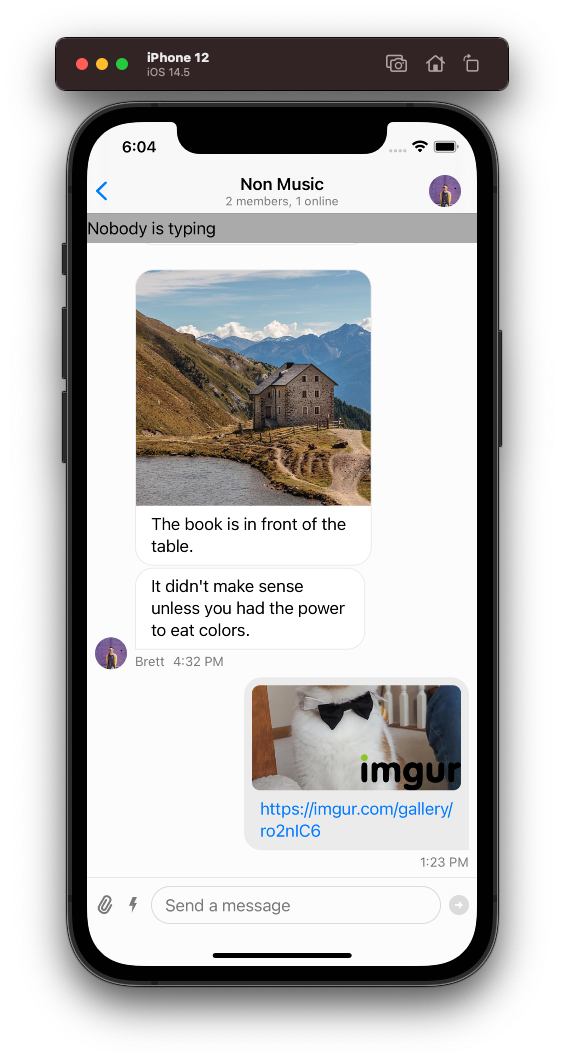 Imgur Logo overlay on the in-app messaging chat interface