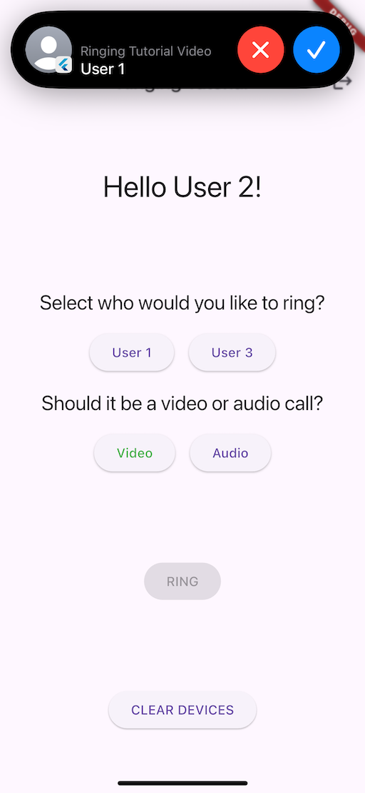 Ringing Sample CallKit Screen
