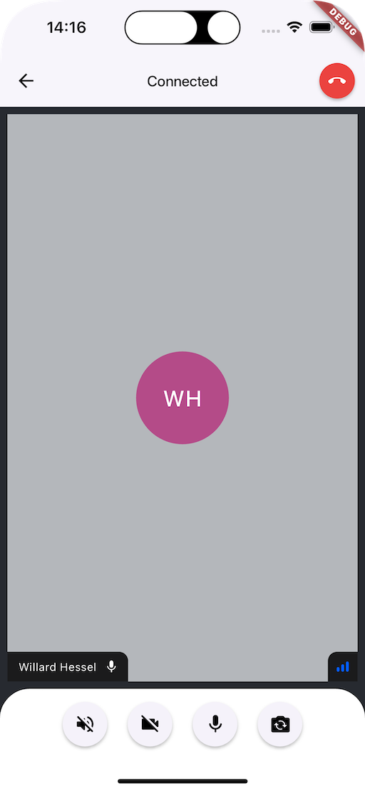 Call Screen UI