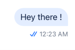 Message Status Read