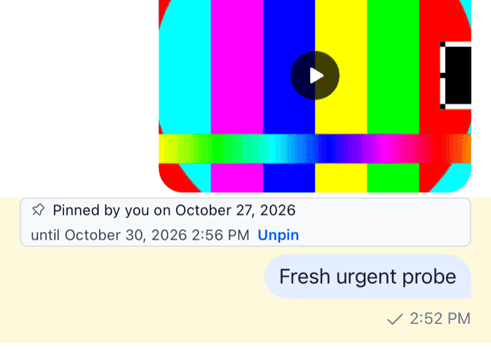 A pin indicator showing who pinned the message, the date, when the pin expires and an Unpin button on iOS