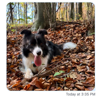 Image Sizing Screenshot 3