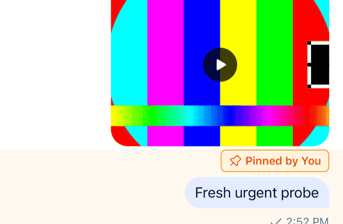 A pinned message with an orange chip reading Pinned by You and a tinted row on iOS