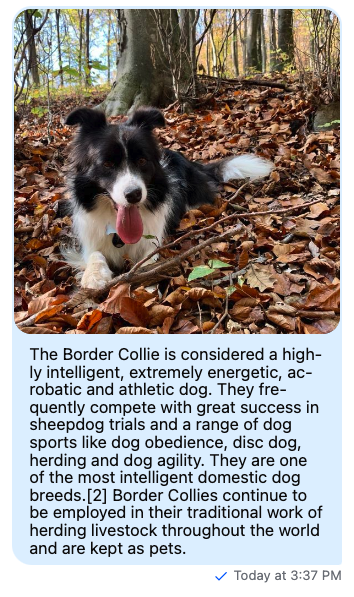 Image Sizing Screenshot 2