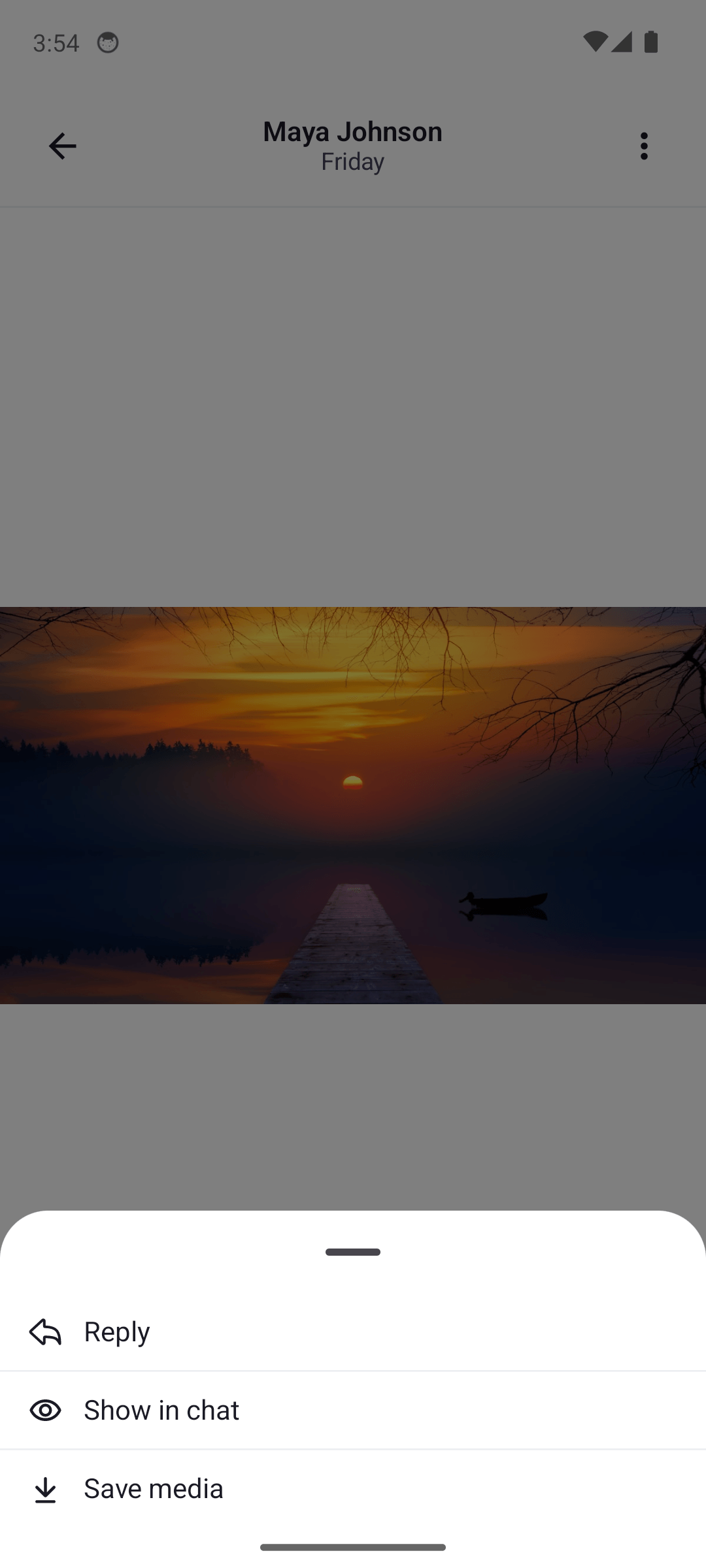 Default Image and Video Attachment Gallery with Options Light Mode