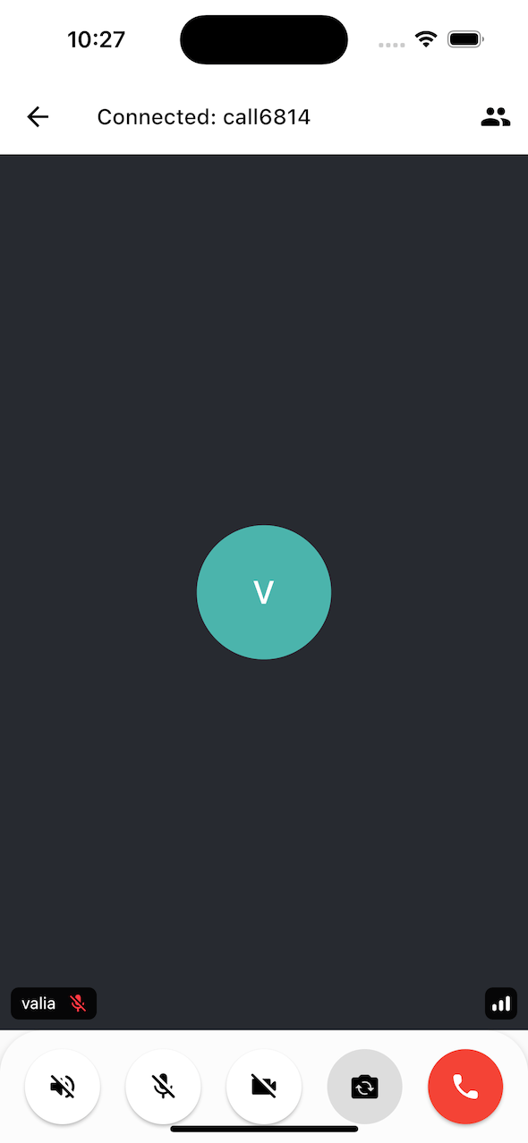 Call Screen