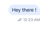 Message Status Delivered