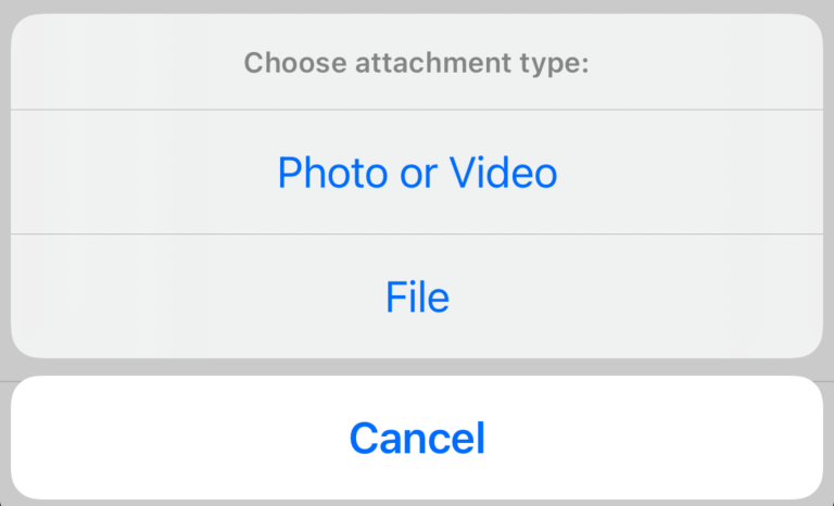 Composer Custom Action Before