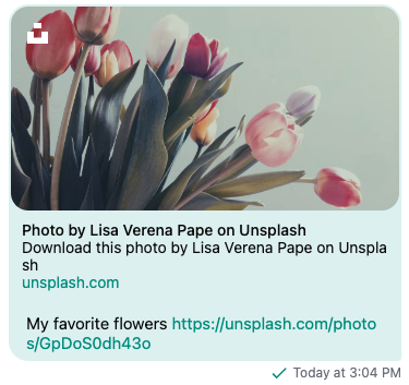 Stream Chat CSS Message Color