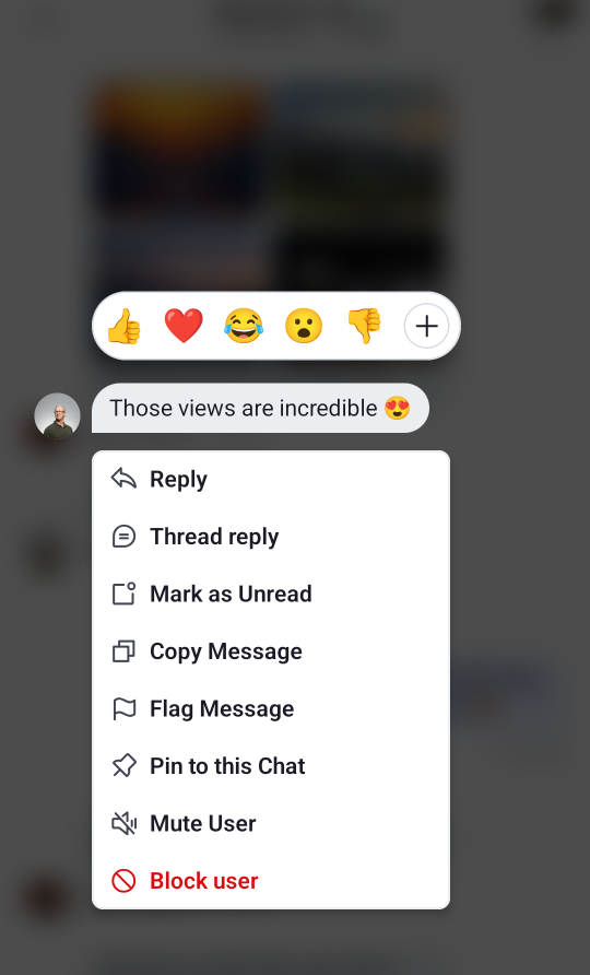 Default MessageActions component