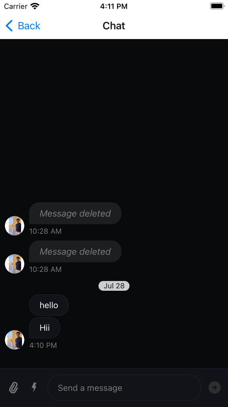 Preview of the Chat Screen