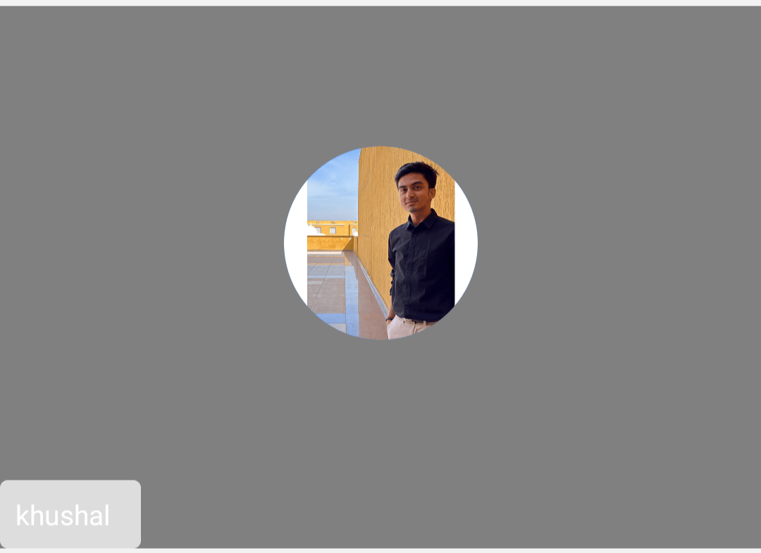 Local Participant Preview Off