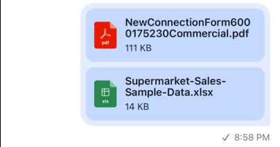 FileAttachment