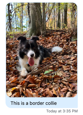 Image Sizing Screenshot 1