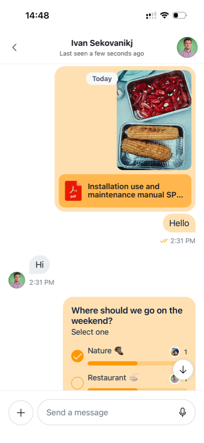 Custom theme in light mode, messages and attachments