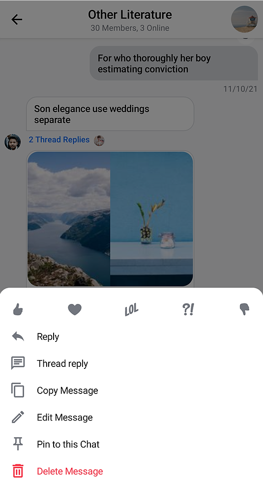 Default SelectedMessageMenu component