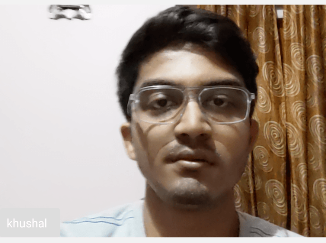 Local Participant Preview On