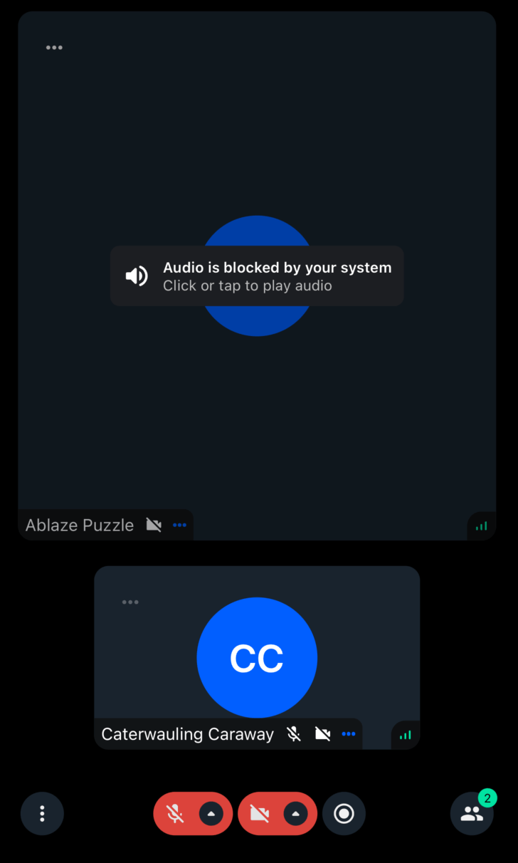 Default blocked-audio overlay shown over a participant tile