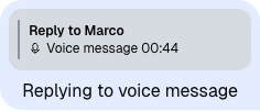 Image of the QuotedVoiceRecording displaying the fallback title