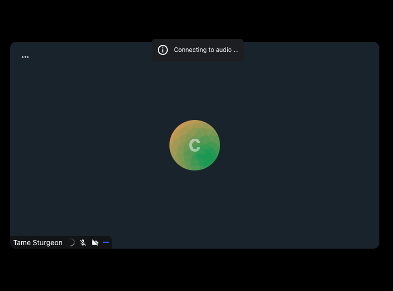 Audio connecting indicator