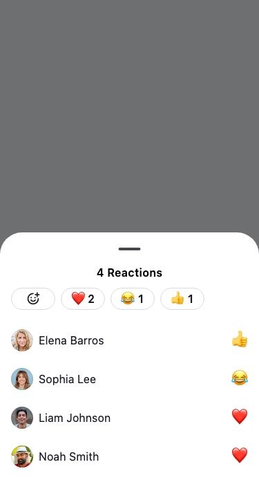 Reaction detail sheet