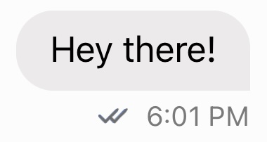 Message Delivery State Delivered