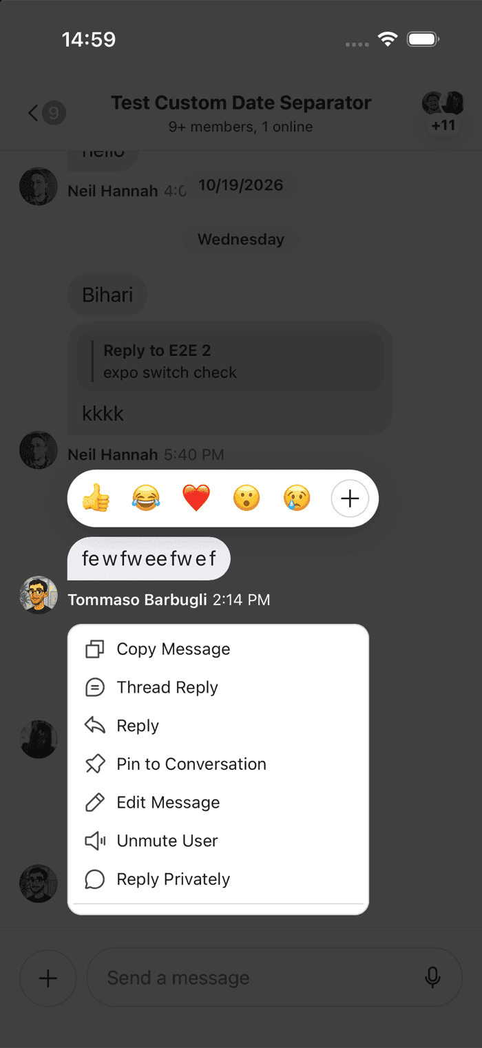 The message menu with Copy Message first and a Reply Privately action added at the end on iOS