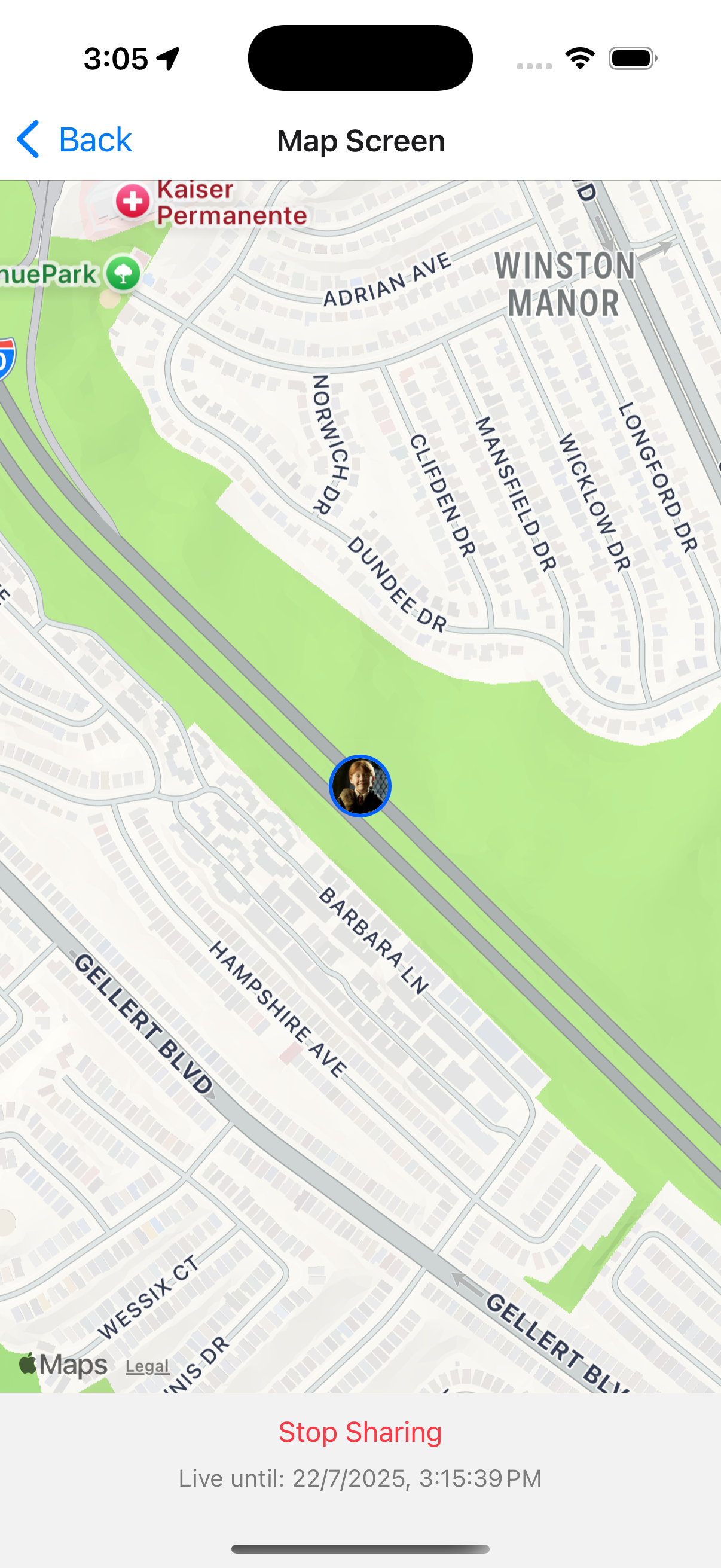 Preview of chat screen