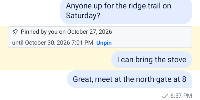 A pin indicator showing who pinned the message, the date, when the pin expires and an Unpin button on Android
