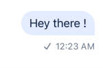 Message Status Sent