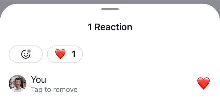 The sheet that lists who reacted, with the reaction and the user who left it on iOS