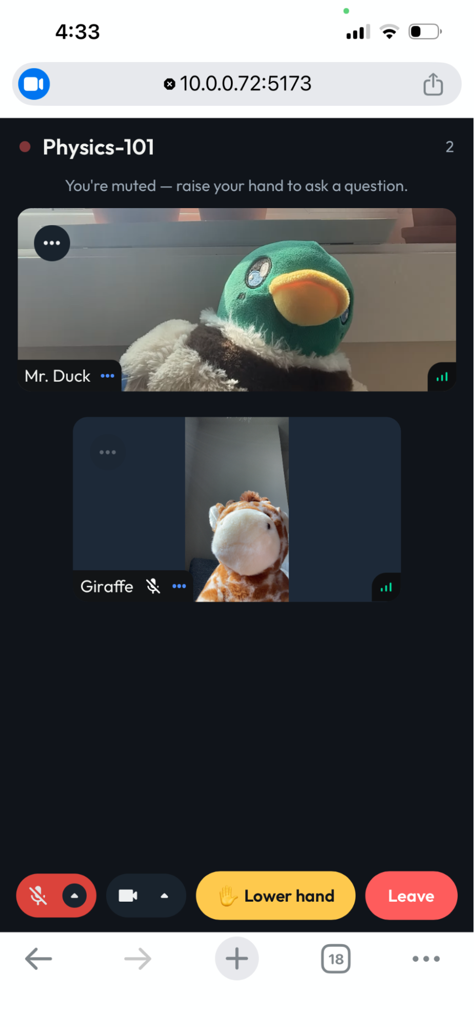 Student's mobile view showing the muted banner and raise-hand control