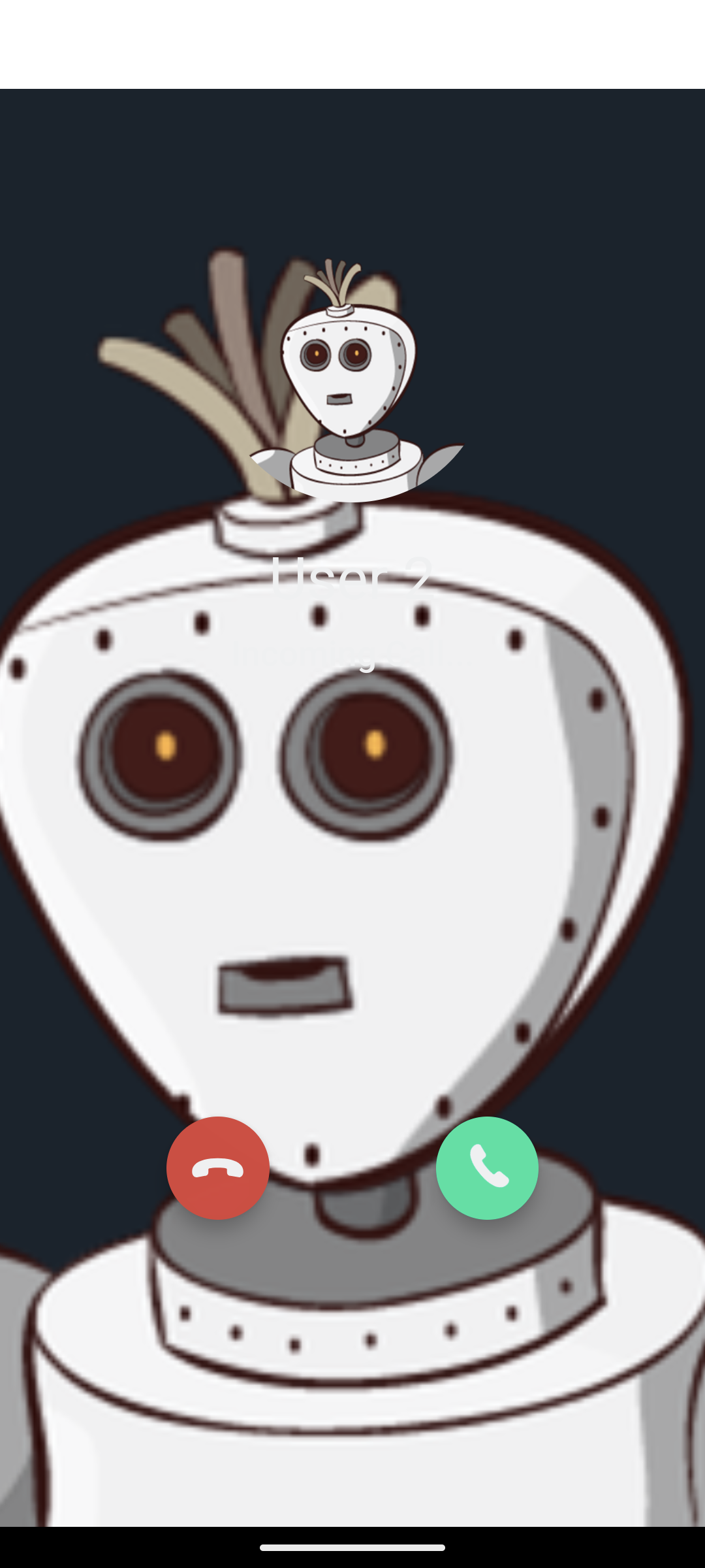 Preview of Incoming call Screen