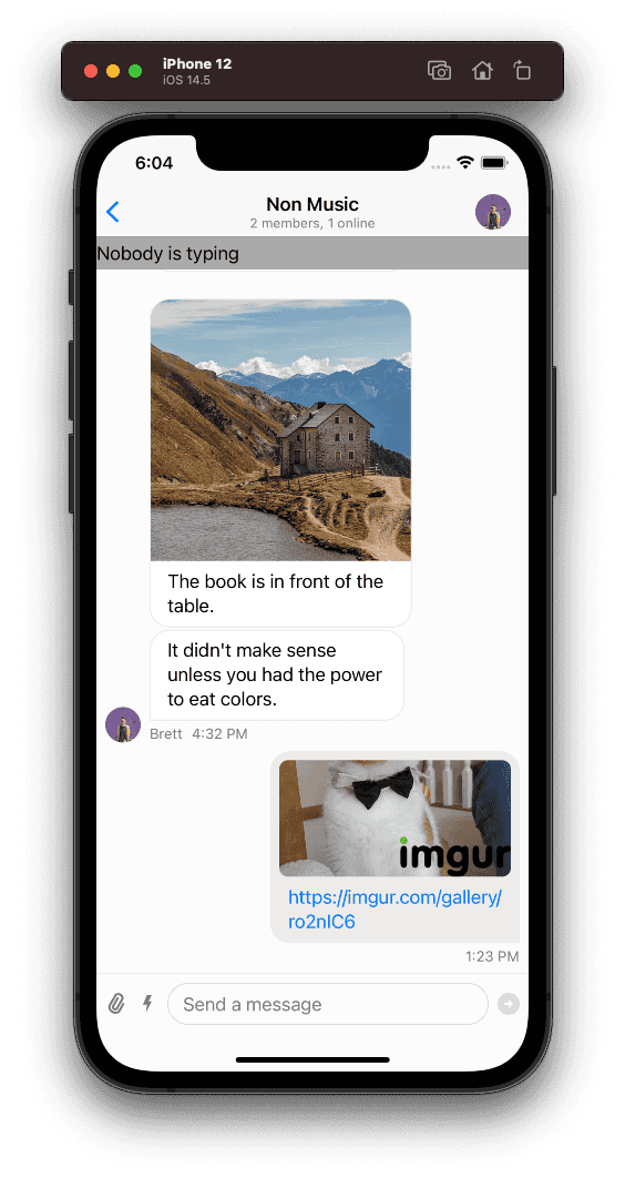 Imgur Logo overlay on the in-app messaging chat interface